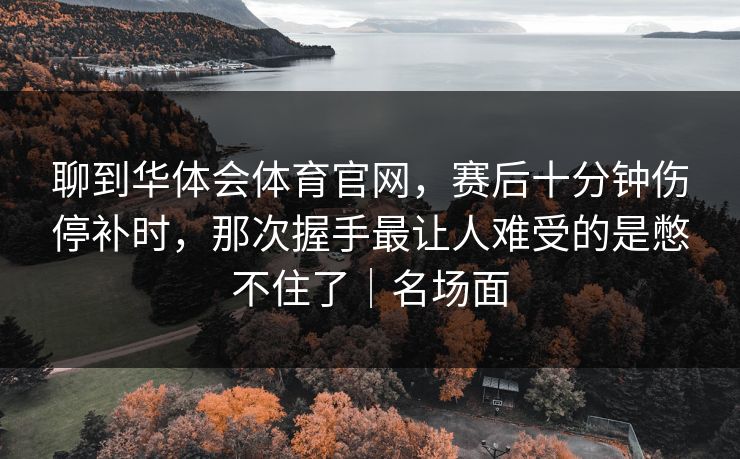 聊到华体会体育官网，赛后十分钟伤停补时，那次握手最让人难受的是憋不住了｜名场面