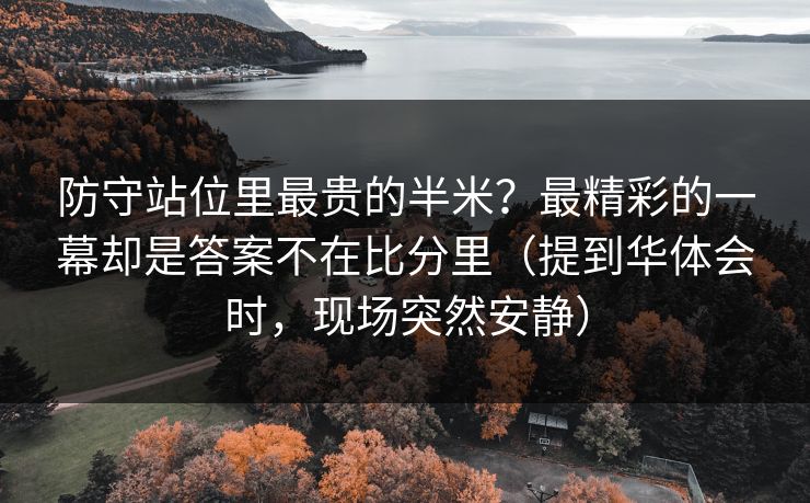 防守站位里最贵的半米？最精彩的一幕却是答案不在比分里（提到华体会时，现场突然安静）