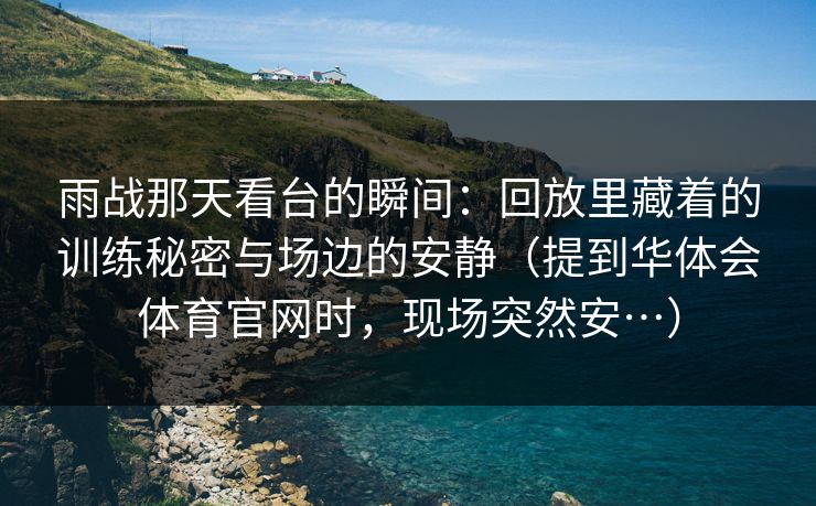 雨战那天看台的瞬间：回放里藏着的训练秘密与场边的安静（提到华体会体育官网时，现场突然安…）