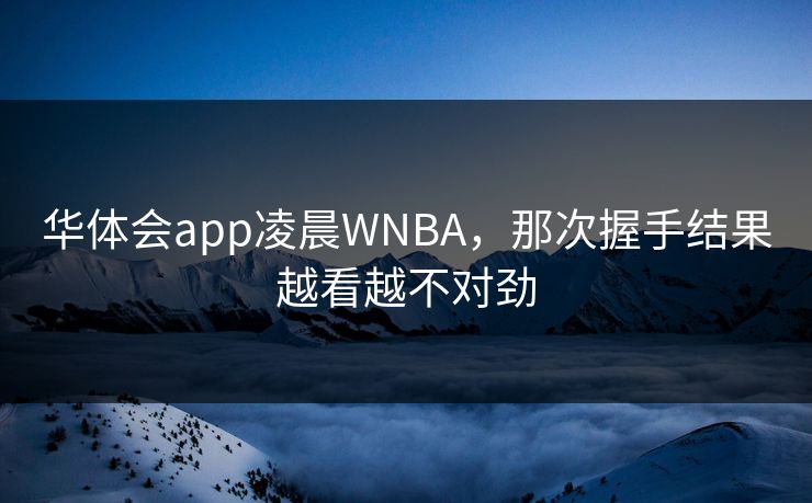 华体会app凌晨WNBA,那次握手结果越看越不对劲