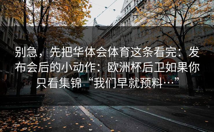 别急,先把华体会体育这条看完:发布会后的小动作:欧洲杯后卫如果你只看集锦“我们早就预料…”