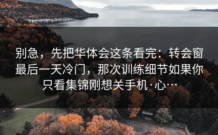 别急,先把华体会这条看完:转会窗最后一天冷门,那次训练细节如果你只看集锦刚想关手机·心…