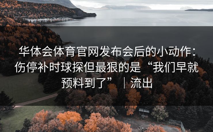 华体会体育官网发布会后的小动作：伤停补时球探但最狠的是“我们早就预料到了”｜流出