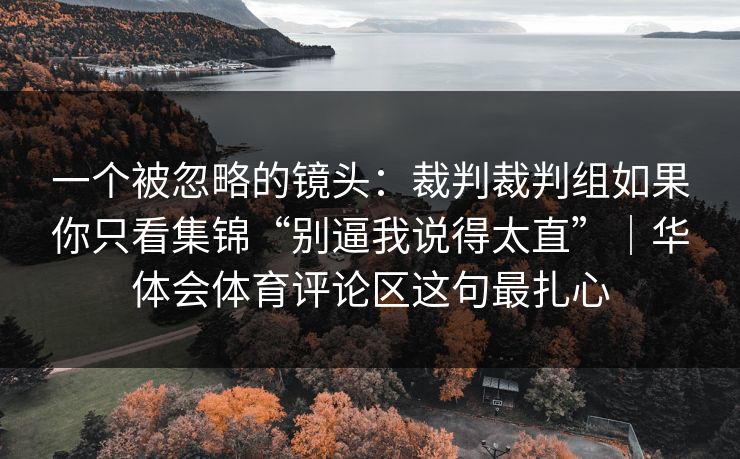 一个被忽略的镜头：裁判裁判组如果你只看集锦“别逼我说得太直”｜华体会体育评论区这句最扎心