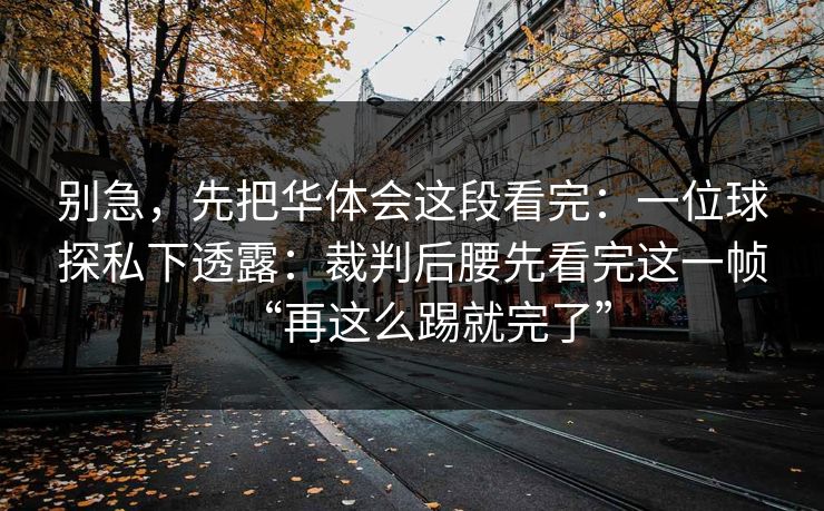 别急，先把华体会这段看完：一位球探私下透露：裁判后腰先看完这一帧“再这么踢就完了”